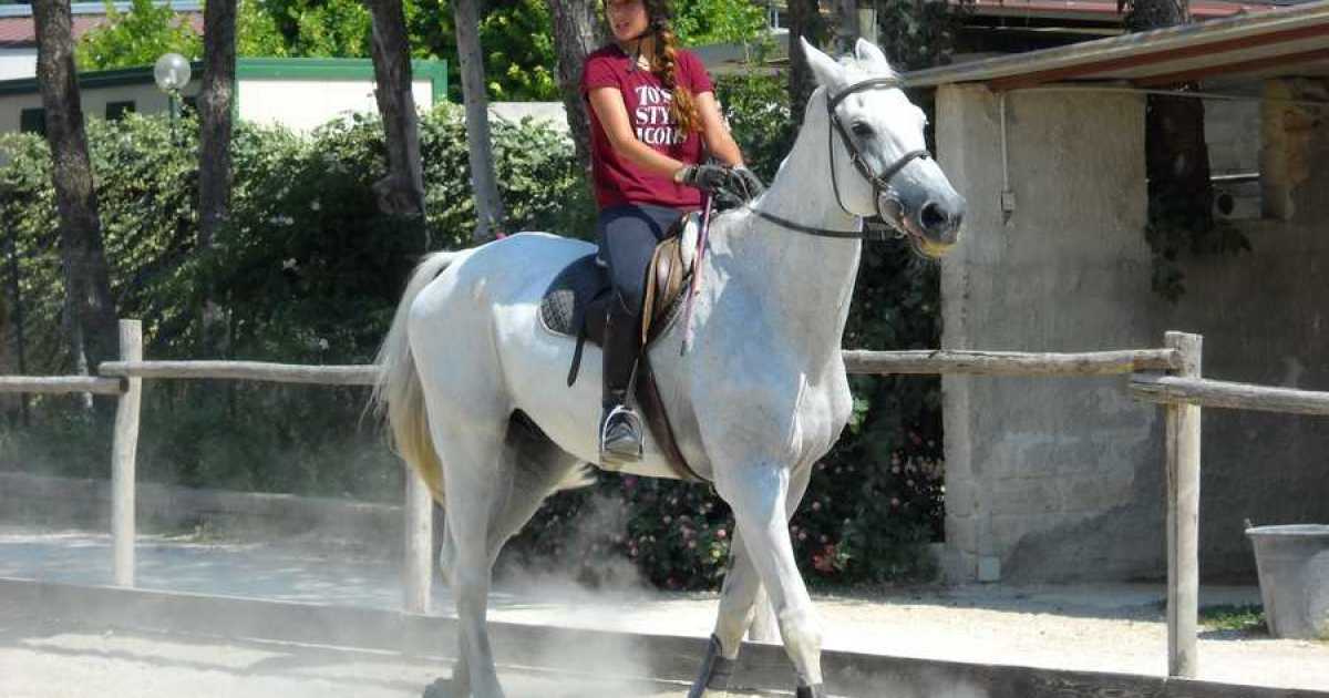 Il mondo dell'equitazione barese: tra gare, storie e amore per i cavalli